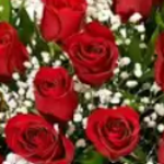 Profile picture of Kayla