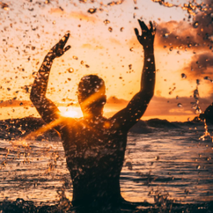 Profile picture of Sean Taylor