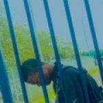 Profile picture of Miracle Onyekachi